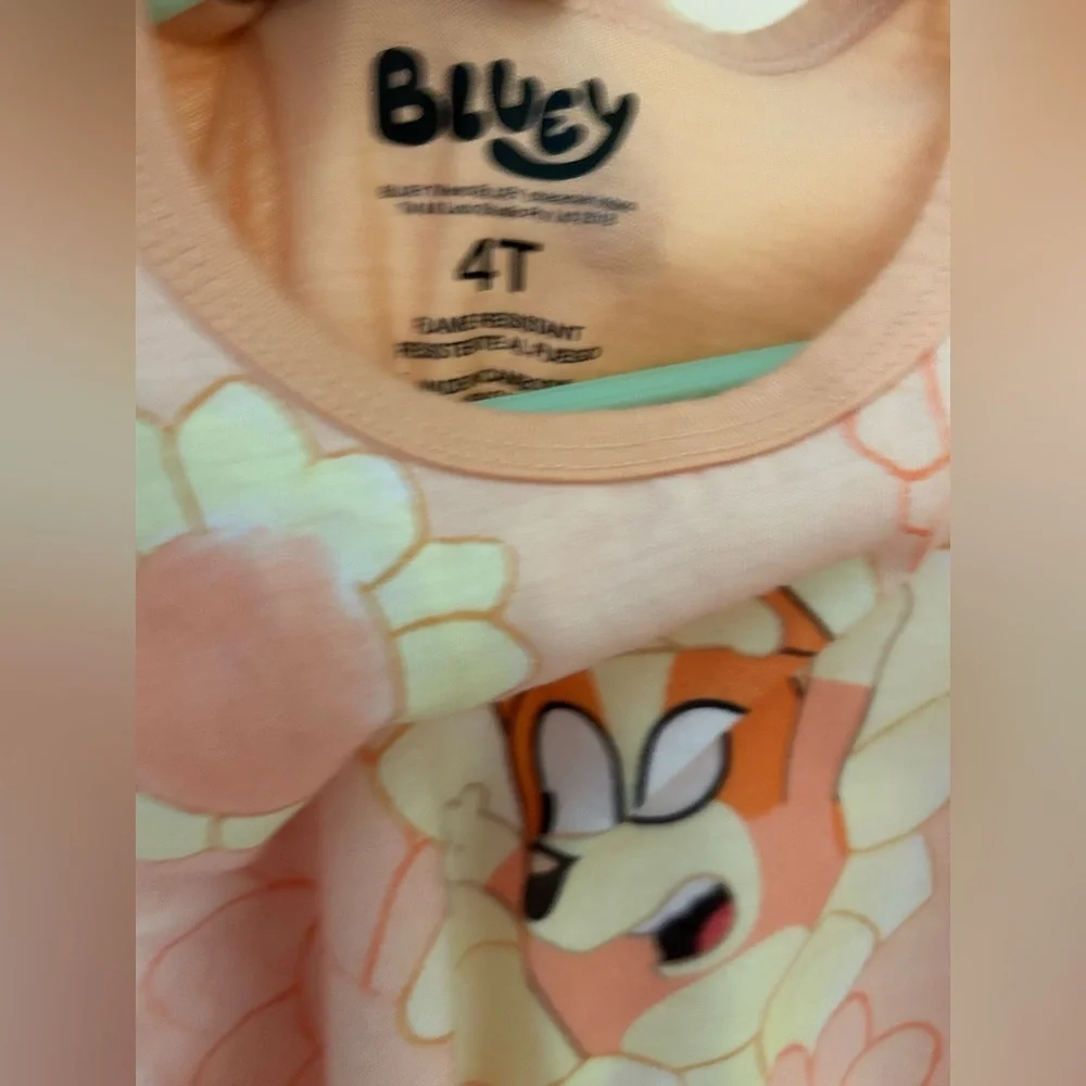 Bluey & Bingo Sunflower Nightgown | 4T | Ruffle Sleeve Spring/Summer Pajamas